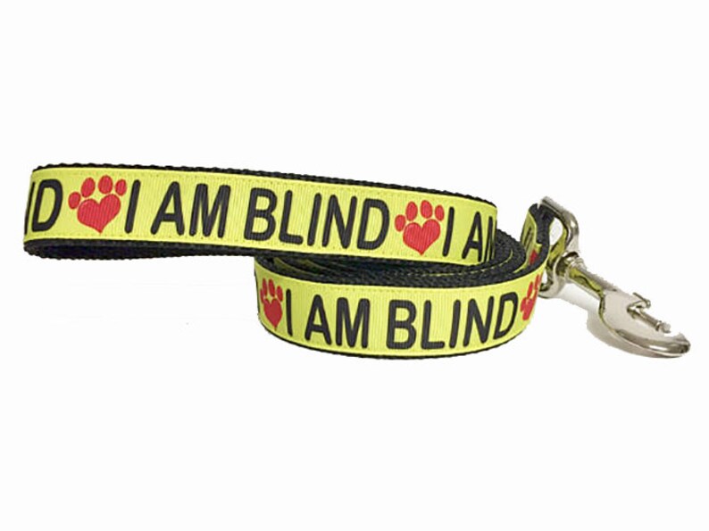 blind dog leash