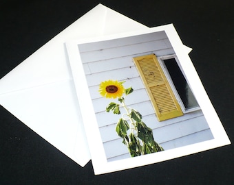 Sunflower Blank Photo Card Fine Art Photography 6.5 x 5 Greeting Card, Yellow Flower, Summer Photo