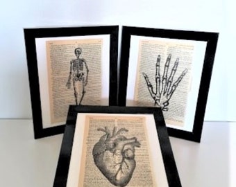 Human Body Set of 3 Dictionary Art Prints, Hand Heart Skeleton Anatomy