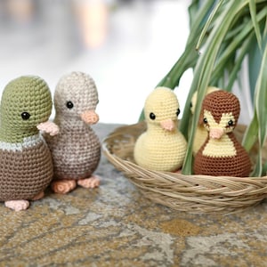 Duck Onesiegurumi: No-sew amigurumi crochet pattern PDF INSTANT DOWNLOAD