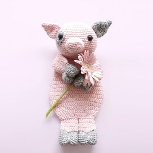Varken Ragdoll gehaakt amigurumi patroon PDF INSTANT DOWNLOAD