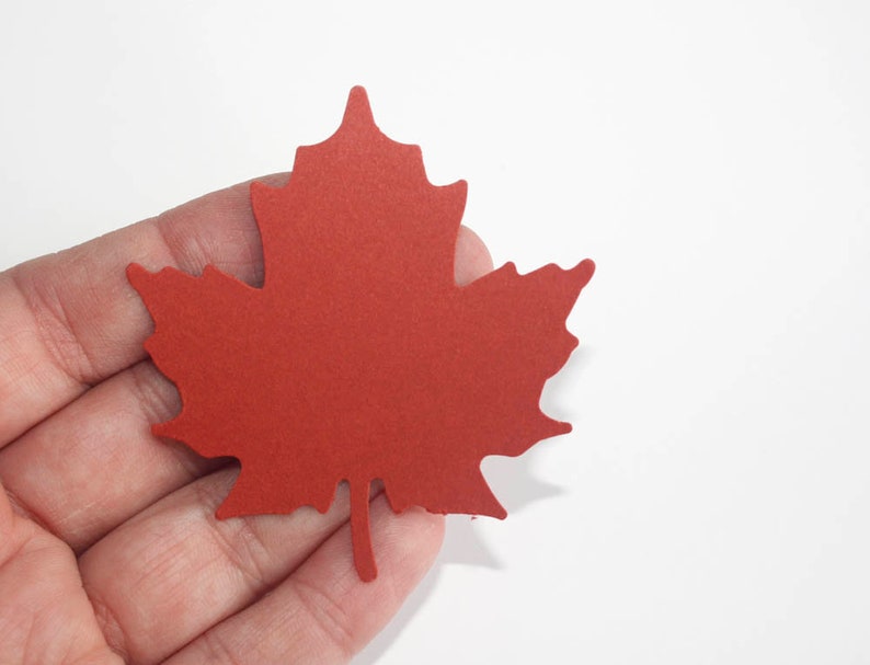 25 Autumn Leaf Die Cuts, Paper Maple Leaves, Thanksgiving Leaves Table Decor, Leaf Gift Tags image 8