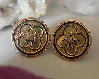 Victorian Enamel Earrings (Vintage)