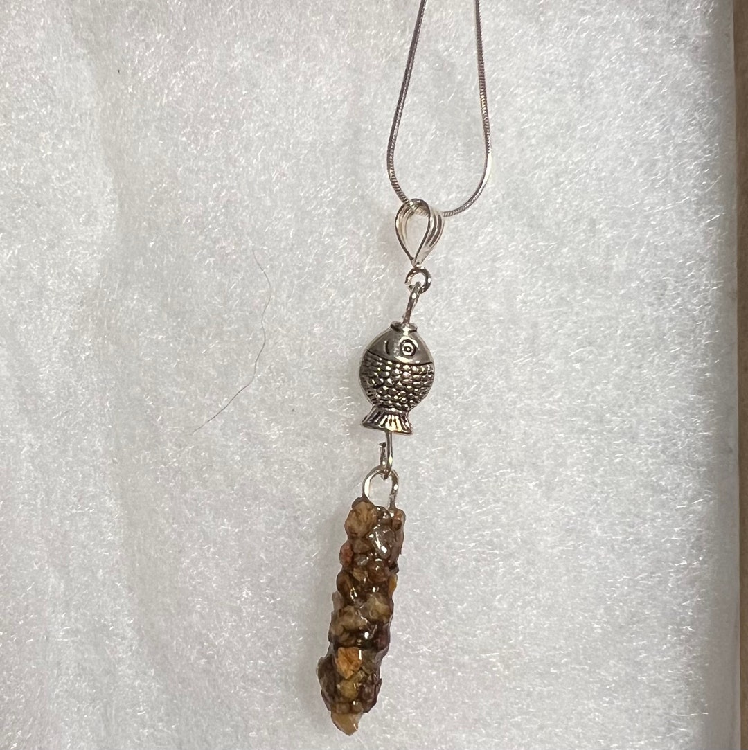 Natural Caddisfly Case Necklace With Fish - Etsy