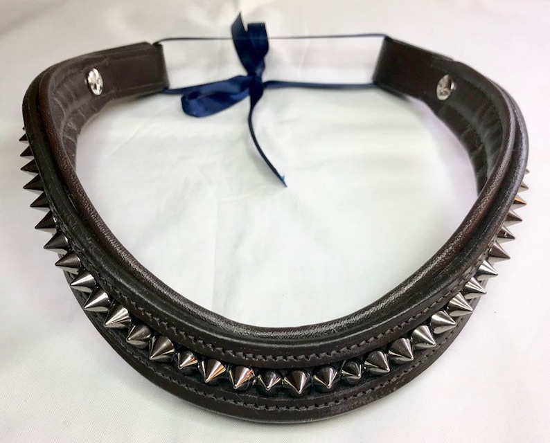 Custom Curved Spike Browband image 0