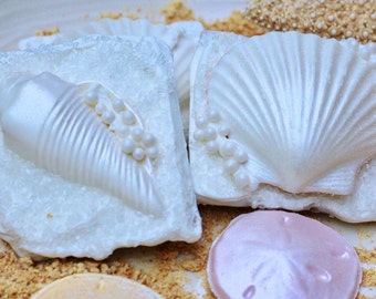 May include: Two white chocolate seashell-shaped treats decorated with white pearl beads. The treats are on a sandy surface with a pink seashell.