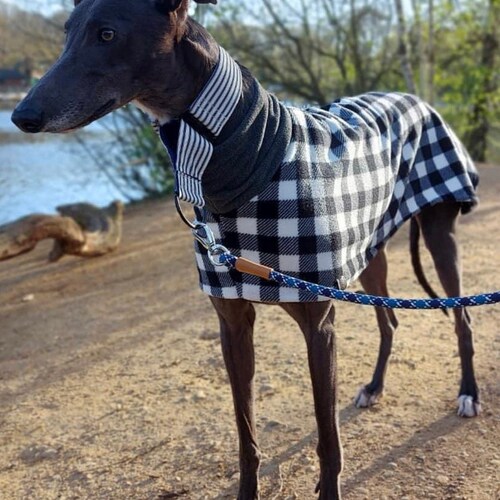 Whippet or Greyhound Dog Coat Waterproof With Fleece Inner 14 Etsy UK