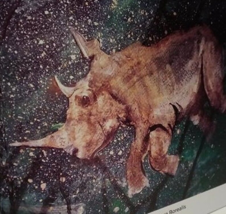 Sudan, Aurora Borealis Art Greetings Cards by Cornish Artist, Lindsey