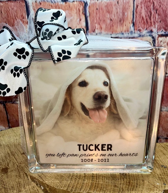 Pet Memorial Pet Loss Gift Lighted Glass Block Home Decor Unique Gifts Sympathy Gift Grief Loss Glass Light Dog or Cat Photo