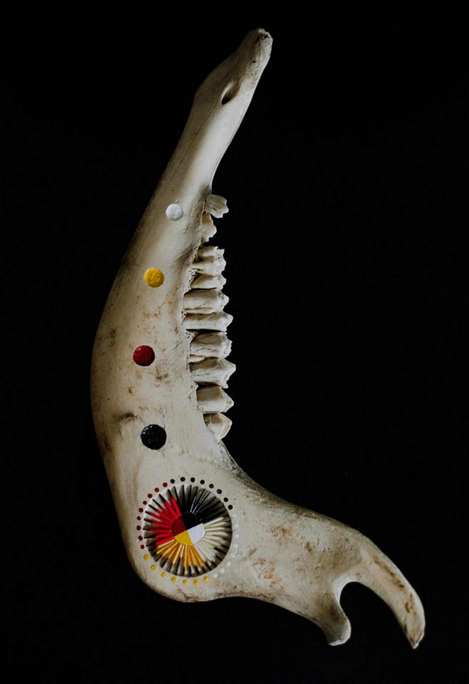 OOAK Handpainted Hand Carved Buffalo Bison Jaw Bone with | Etsy