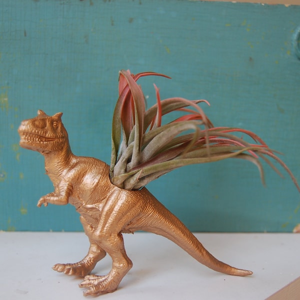 Reserved for Toni // Dinosaur Air Planter