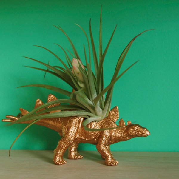 Gold Dinosaur Tillandsia Planter // Air Plant Dinosaur Pot // Stegosaurus