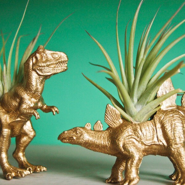 Gold Dinosaur Tillandsia Planter // Air Plant Dinosaur Pot // T-Rex and Stegosaurus