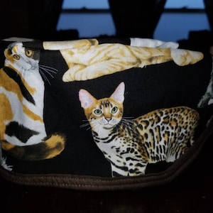 Cats Surgical cap