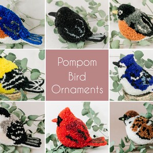 Wool PomPom Bird Ornament | Needle felted Bird | Needle Felted Animals | Felted Bird | Soft Sculpture| Backyard Birds Song Birds
