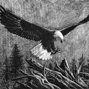 Limited Edition Eagle Lithograph Print: Signed & Numbered