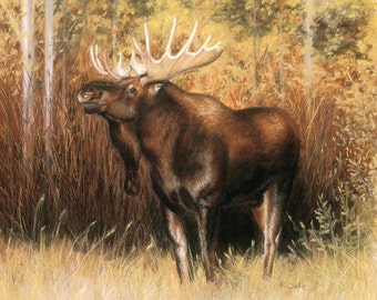 Giclee print "Bull Moose" A pastel drawing of a bull moose in the fall