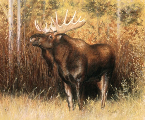 Giclee Print bull Moose A Pastel Drawing of a Bull - Etsy