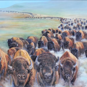 Buffalo Stampede - Limited Edition Print of running American Buffalo in South Dakota