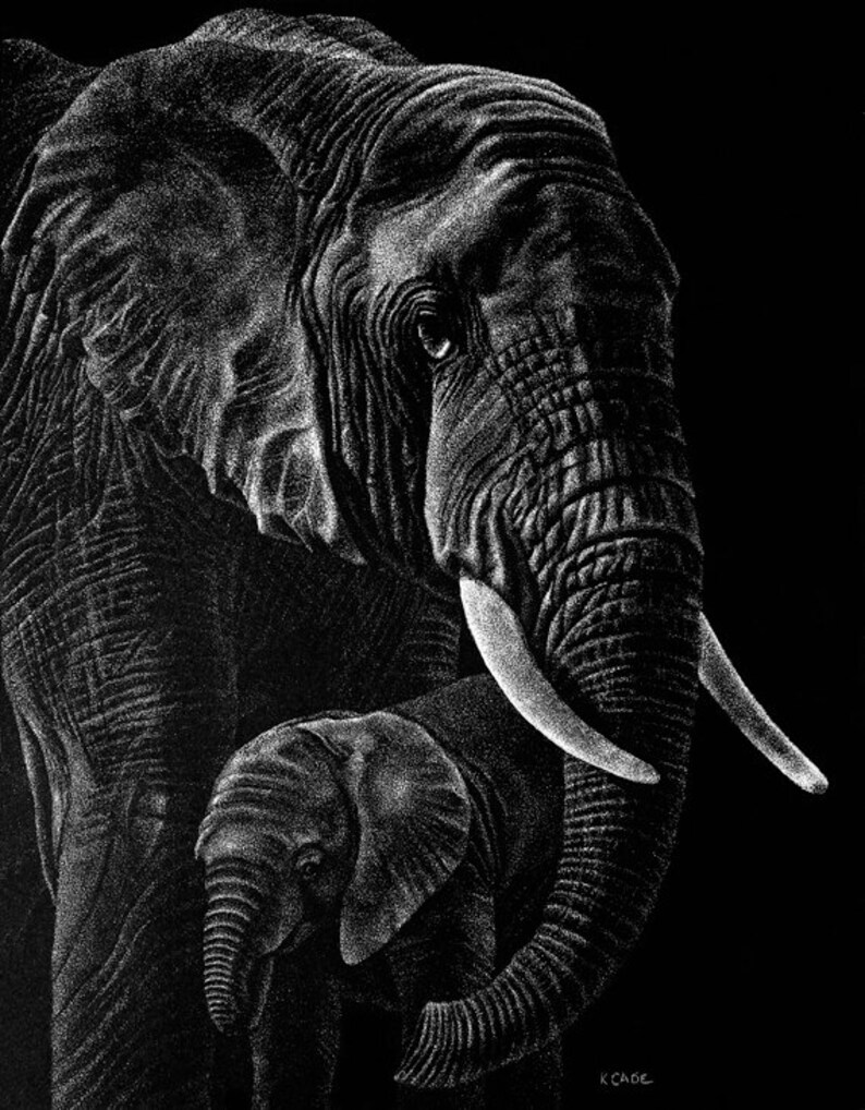 Card 4 34 x 6 12 Elephants A pen and ink on scratchboard drawing of an elephant with a baby elephant