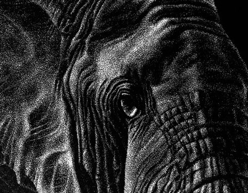 Card 4 34 x 6 12 Elephants A pen and ink on scratchboard drawing of an elephant with a baby elephant
