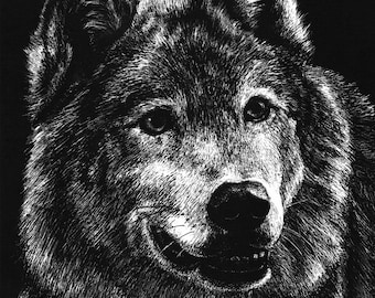 Lithograph print "Wolf" A pen and ink on scratchboard drawing of a gray wolf