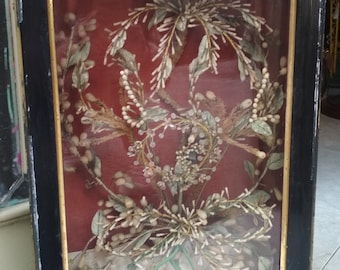 May include: A framed piece of art featuring a dried flower arrangement. The flowers are white and green and are arranged in a vase. The frame is black with a gold trim.