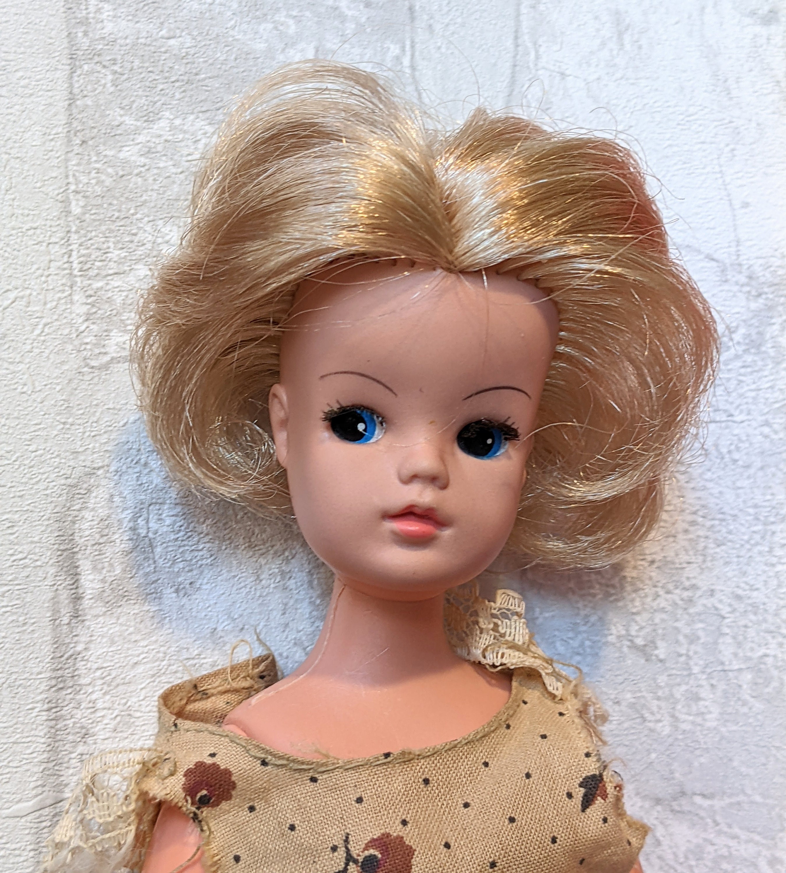 1970 sindy doll