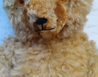 * antique bear ୨୧ * 小さくて可愛い テリアさん dc1636-02_600.jpg?v=1668163043.883