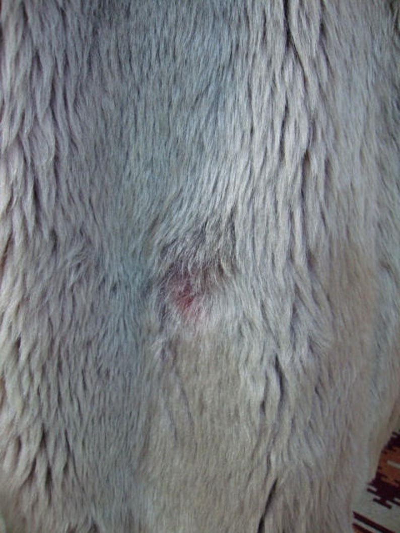 Vintage Mouton Fur Coat / Gray Brown fUR COAT / Lamb Fur / Lamb Fur Coat image 7