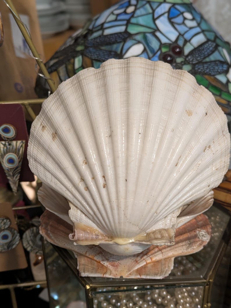 Virgin Mary Shell Sea Shell Shrine/virgin Mary Statue/shell Work Grotto/shell Art ...