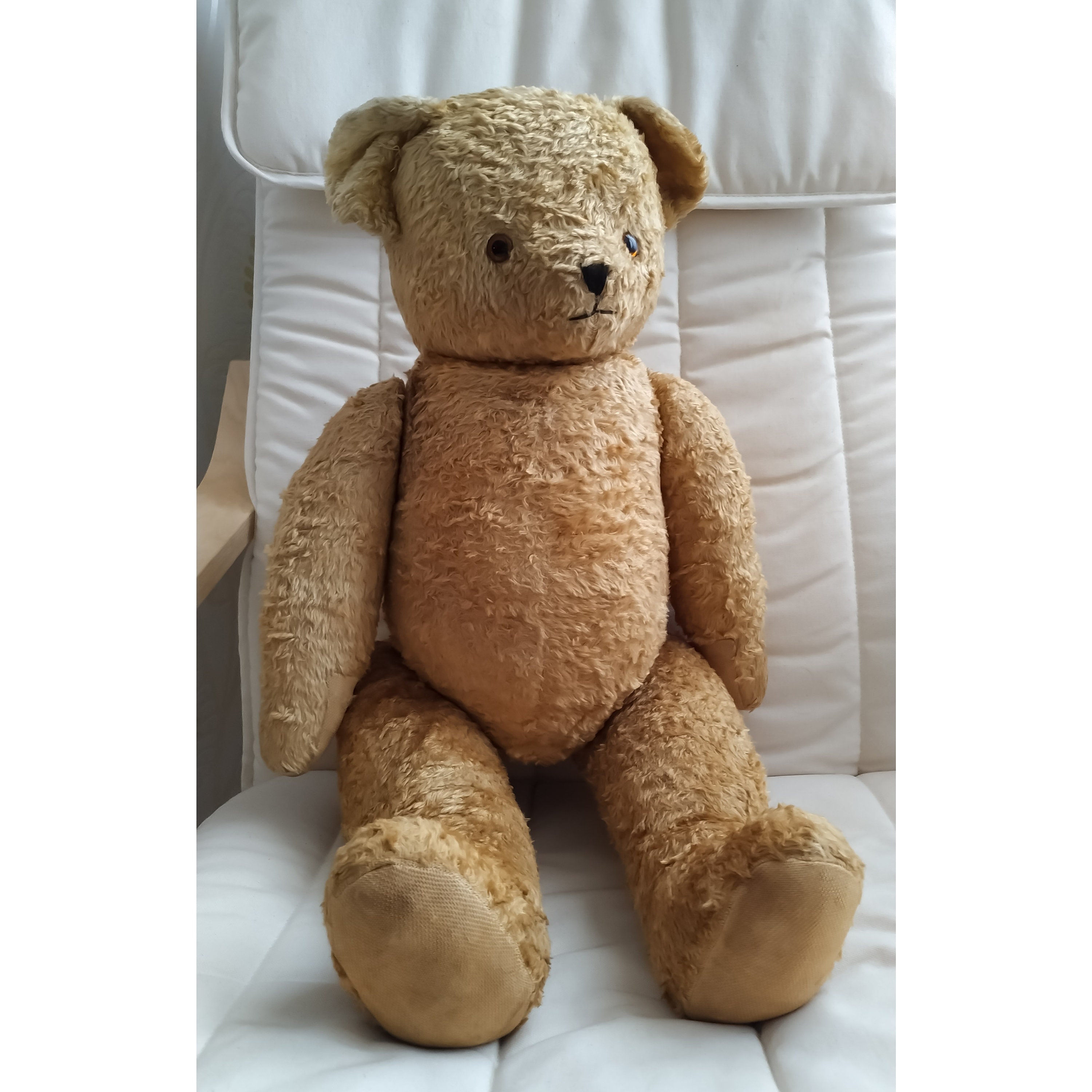 giant teddy bear wilko