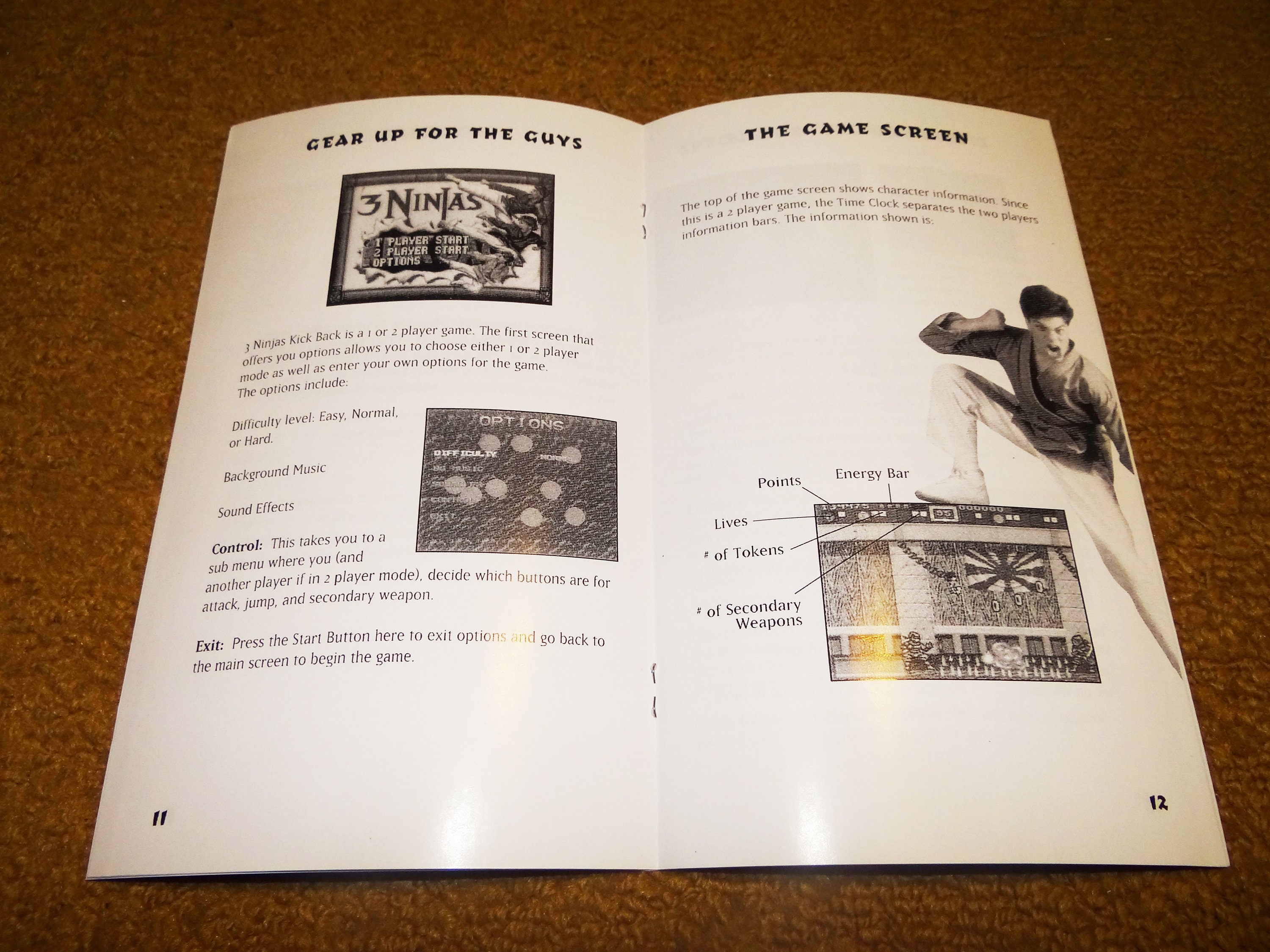 Custom Printed 3 Ninjas Sega CD Manual, & Case Insert (see