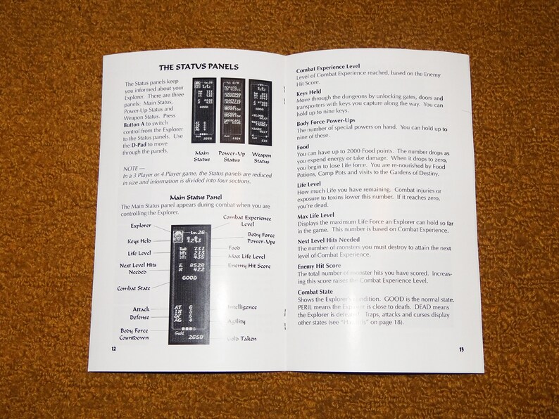 Custom printed Dungeon Explorer Sega CD manual, & case insert see variations below image 5