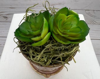 Centerpiece Small Faux Succulent:  Home Decor Office Decor