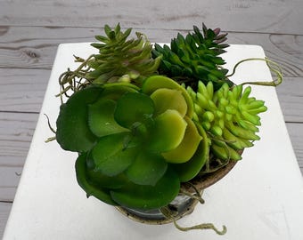 Centerpiece Small Faux Succulent:  Home Decor Office Decor