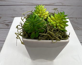 Centerpiece Small Faux Succulent:  Home Decor Office Decor