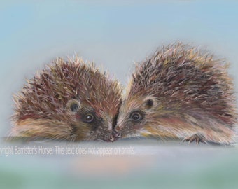 HÉRISSONS, Giclée d'art à partir de mes oeuvres d'art au pastel. Peinture animalière