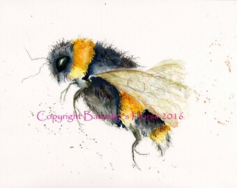 Bumble Bee, fine art, Giclee Watercolour Painting Print. Archival quality inks