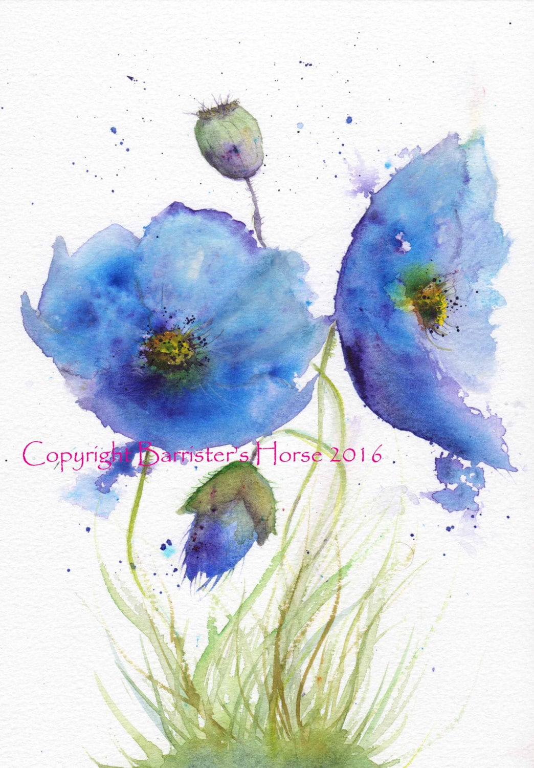 BLUE POPPIES Fine Art Giclee Watercolour Painting Print A4. - Etsy UK