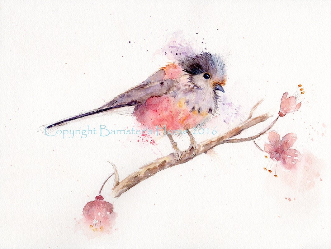 Details about LITTLE BIRD WATERCOLOUR FINE ART PRINT LONG TAILED TIT PAINTING WALL ART Details about LITTLE BIRD WATERCOLOUR FINE ART PRINT LONG TAILED TIT PAINTING WALL ART