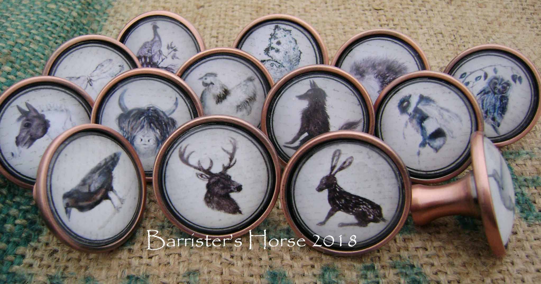Animales bonitos & vida silvestre perillas de cajón de cobre | Etsy