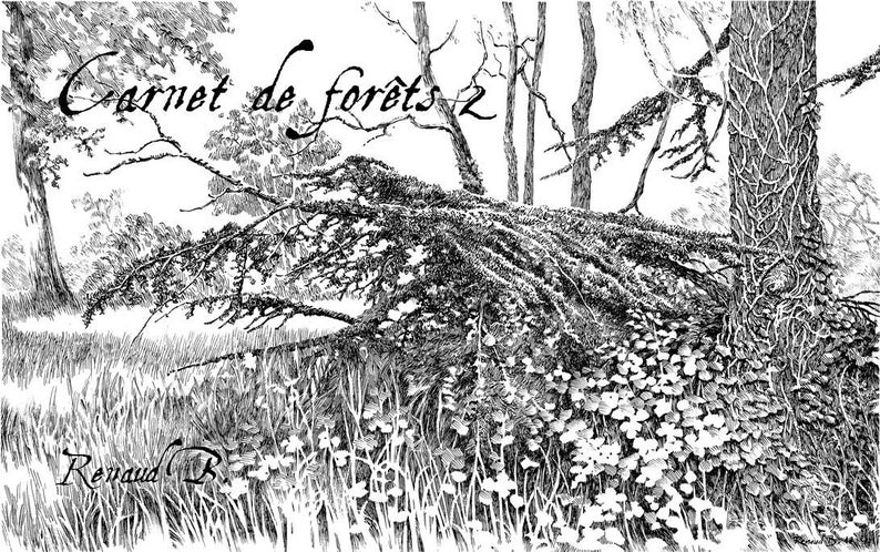 Forest Notebook 2 image 1