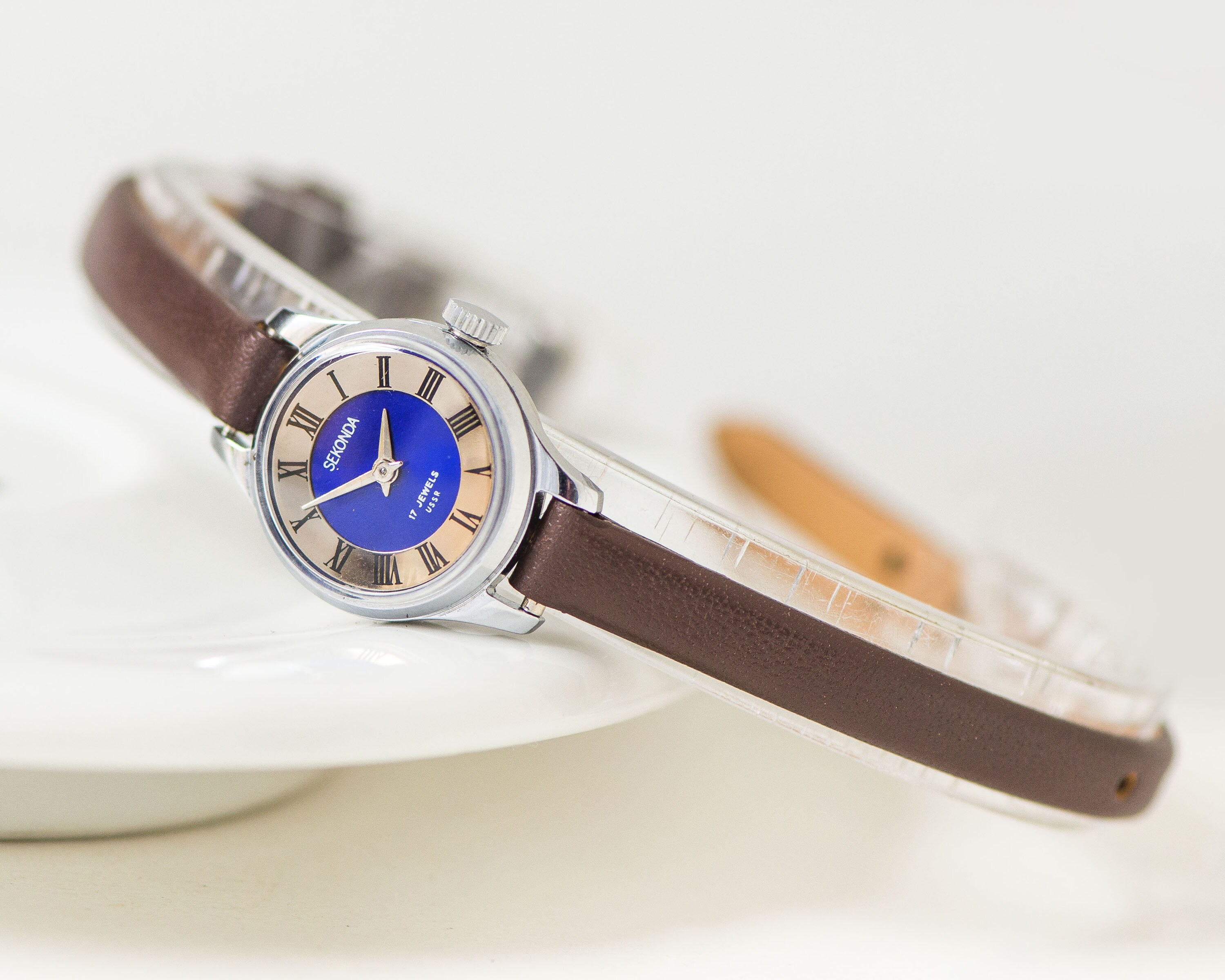 Reloj de pulsera para mujer con esfera azul marino muy pequeño Seagull,  micro reloj para dama azul vintage, marcadores de flecha dial reloj para  niña nueva correa de cuero premium 