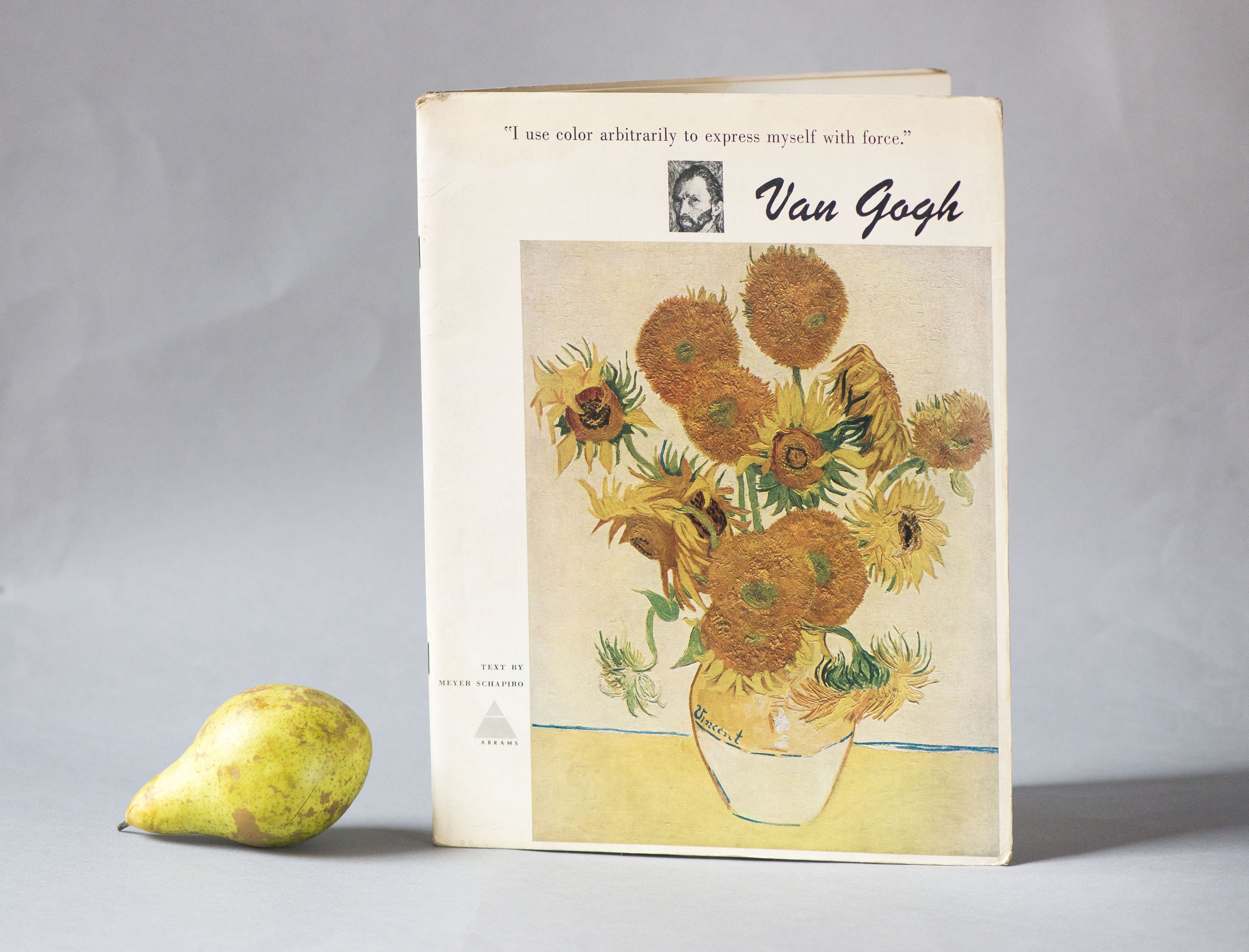 Art Portfolio: Vincent Van Gogh  The New York Public Library Shop