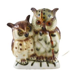 Può includere: Statuetta di gufo in ceramica con due gufi. I gufi sono nei toni del marrone, crema e verde, con occhi arancioni. La statuetta poggia su una base bianca con dettagli verdi. I gufi hanno dettagli di piume strutturate.