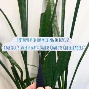 introverted DCC fan | America's Sweethearts | funny trend decal waterproof laptop tablet phone water bottle tumbler mug car