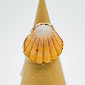 May include: A gold ring with a large, orange and white seashell set in the center.