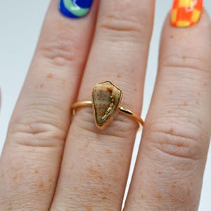 May include: A gold ring with a unique, brown and white shell-shaped stone set in the center.
