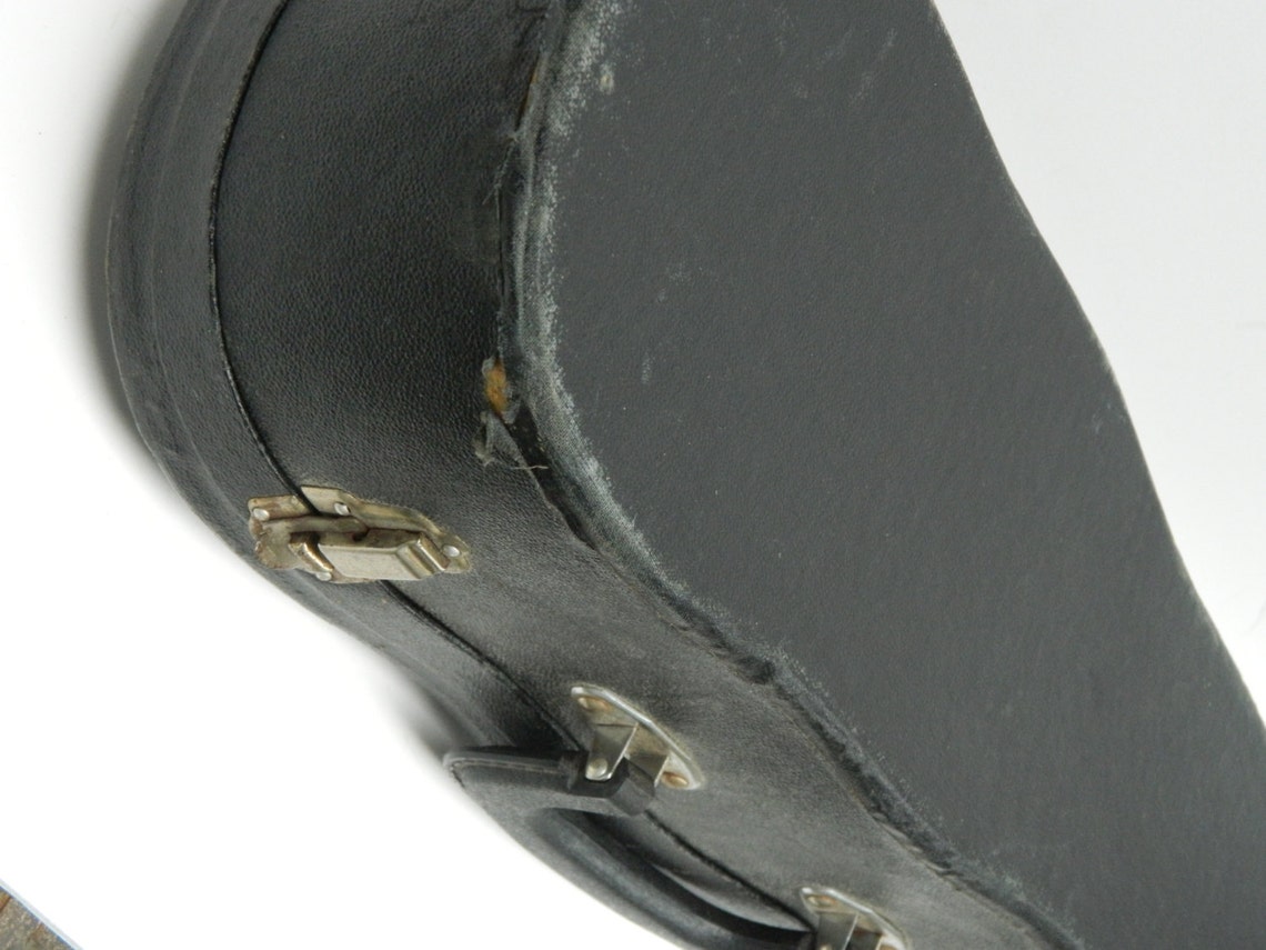 Musical Wine Liquor Bottle Violin / Guitar Case with Blue Etsy